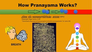 What is Pranayama  How it works  Benefits amp Types of Pranayama [upl. by Sim451]