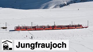 Höchster Bahnhof Europas  Wengernalpbahn  Jungfraubahn  Grindelwald [upl. by Romelda]