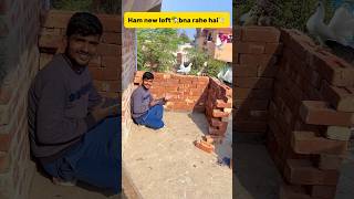 Ham new loft🏡 bna rahe hai🕊️ petlover minivlog birds pigeon kabutar kabutarbazi minivlog [upl. by Zwick]