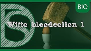 Examen biologie  Afweerbarrières antistof en antigeen Afweersysteem [upl. by Jorgensen]