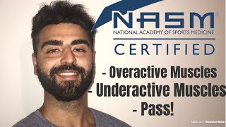 NASM Overhead Squat Assessment Study Guide [upl. by Willmert942]