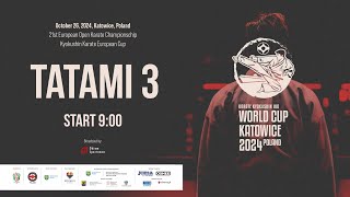 TATAMI 3  DAY 1  KARATE KYOKUSHIN IKO WORLD CUP KATOWICE 2024 POLAND [upl. by Kathie]