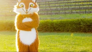 quotWhat Does The Fox Sayquot  quotThe Foxquot Song Originally by Ylvis Cover [upl. by Icyac]