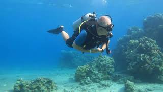 Eilat  111124  diving near border [upl. by Kessel309]