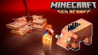 FARM de HOGLIN fome nunca mais  Minecraft EP 13 [upl. by Manouch267]