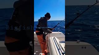 bigfishibiza Bluefin Tuna [upl. by Skeie]