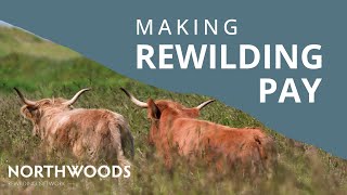 MAKING REWILDING PAY  The Kinkell Byre Story [upl. by Mullane309]