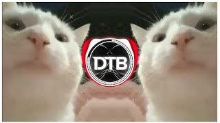 Cat Vibing Meme DNK 2021 EDM Remix [upl. by Osmund783]