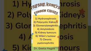 Gastrointestinal Physiology  examination of GIT examination kidney palpation physiology kidney [upl. by Mcfadden]