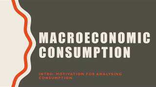 Macroeconomic Consumption Intro Motivation for Analyzing Consumption [upl. by Legge]