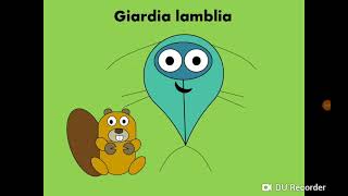 Giardia lamblia Intestinal flagellate داء الجيارديات [upl. by Katrinka]