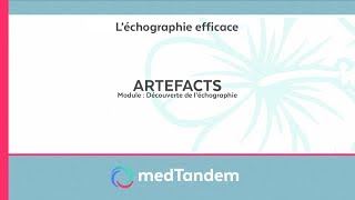 Artefact  Découverte de léchographie en médecine générale [upl. by Colvert]