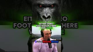 JRE  Giant Chimp or Apex Predator Exploring the Bili Apes Phenomenon [upl. by Llenrub46]