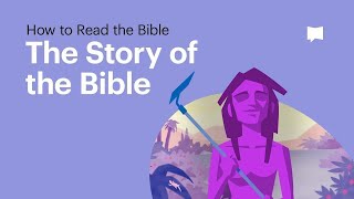 The Story of the Bible • What Its About From Beginning to End [upl. by Siurtemed]