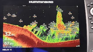 Humminbird HELIX How To Adjust Fish ID Sensitivity [upl. by Hayyifas]