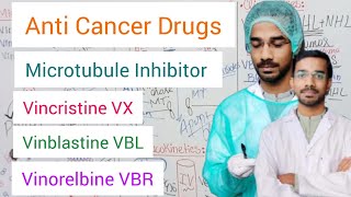 Vincristine  Vinblastine  Vinorelbine  Microtubule Inhibitor  Anticancer Drugs [upl. by Grearson423]