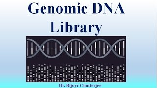 Genomic DNA Library [upl. by Bose]