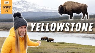 USA Reise zum YELLOWSTONE NATIONALPARK • USA Doku  VLOG 577 [upl. by Llyrehc]