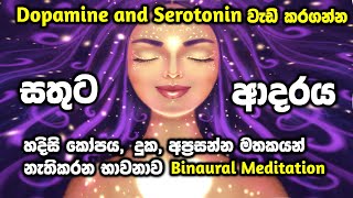 මිනිත්තු 20 න්ඔබේ හිතේ සතුට ආදරය කරැණාව වැඩිකරගන්න හිත පාලනය කර දුක නැති කරන Binaural meditation [upl. by Canon]