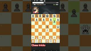 CHESS TRICK TAKE ROOK AND KNIGHT IN 7 MOVES CHESSmagnus [upl. by Assile697]