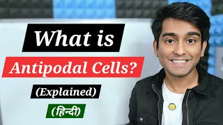 Learn What are Antipodal Cells The Nutrient Helpers in Plant Reproduction in Biology [upl. by Nylhtak]