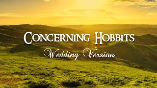 Concerning Hobbits Wedding Version  Piano Cover by Paul Hankinson [upl. by Assed]