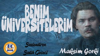 Benim Üniversitelerim  Maksim Gorki Sesli Kitap Tek Parça Salih Gececi [upl. by Airrehs325]