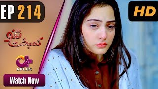 Drama  Kambakht Tanno  EP 214  Aplus  Tanvir Jamal Sadaf Ashaan  C2U1 [upl. by Anhej]