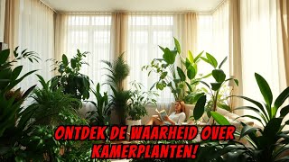 De WAARHEID over de VERZORGING van KAMERPLANTEN 🌿🏡 [upl. by Jempty878]