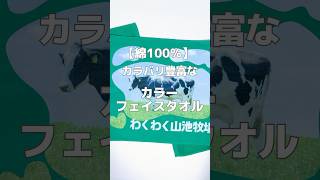 【綿100】推し活にもおすすめ！💞カラバリ豊富なカラーフェイスタオル作ってみた！🌈 [upl. by Aniri]