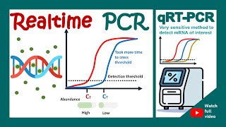 qPCR  qRT PCR  realtime quantitative PCR in 1 minute  biotechniques in 1 minute [upl. by Kcyrred]