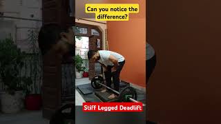 Difference between SLDL vs RDL sldl rdl deadlift backworkout homeworkout fitnessjourney [upl. by Trah320]