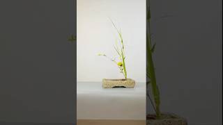 Grass Decoration Ideas satisfying flowerdesign [upl. by Ydoc]