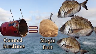 How To Make Magic Bait Less Than 1 With Canned Sardines  CatchMoreFish [upl. by Nnylsaj]