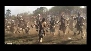 AMAZING ZULU WARRIOR DANCE  SOUTH AFRICA [upl. by Yvad]