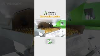 WESORT Grain Sorting MachineColor Sorter Machine [upl. by Cohlier641]