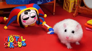 🔴 Hamster Maze Live 247  Hamster in the Amazing Digital Circus 🤡 [upl. by Isolt861]