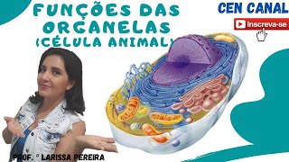 CITOLOGIA II  FUNÇÃO DAS ORGANELAS [upl. by Notsyrb]