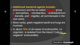 Infective Endocarditis [upl. by O'Carroll]