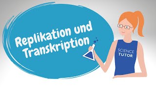 Replikation und Transkription  Unterschiede und Gemeinsamkeiten [upl. by Sidonnie658]