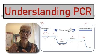 Understanding PCR [upl. by Dhar]