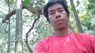 Sempre ch Sangma is liveCm poraina nengnike live Ona aratonga [upl. by Meldoh]