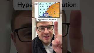 Isotonic Hypertonic Hypotonic Solutions [upl. by Eednam]