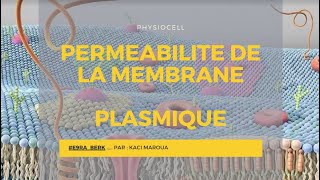 📍 Perméabilité de la membrane plasmique  Physiologie cellulaire E9raberk [upl. by Nibla]