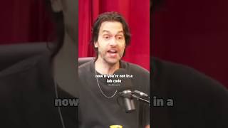 Bryan Callen gets silenced by Chris Delia🤣😂 [upl. by Aitetel]