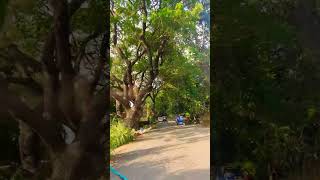 Goregaon East Mumbai automobile youtubeshorts youtube reels shortvideo tiktok luqman mumbai [upl. by Anida654]