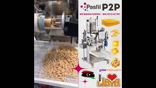 P2P Makarna Erişte Lazanya Ravioli Makinesi  Pasta Lasagna Tagliatelle Ravioli Machine [upl. by Winograd]