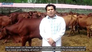 SexedULTRA Sex Sorted Semen by ST at Uttarakhand Livestock Development Board ULDB [upl. by Goldin]