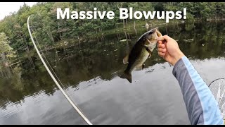 Bass Fishing the Adirondacks with Topwater [upl. by Sral]