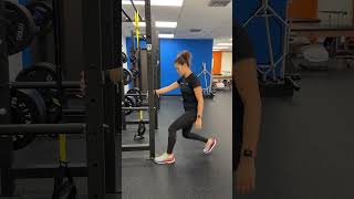 Rig Supported Split Squat [upl. by Eydnarb]